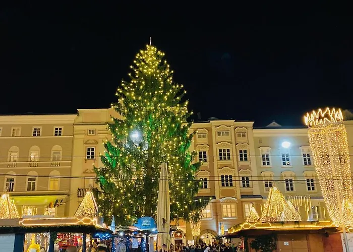 Center - Historisches & Refugium Linec